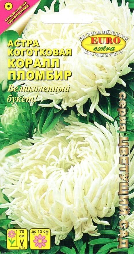 Астра Коралл Пломбир однолетник 0,1г (АэлитаЭкстра)