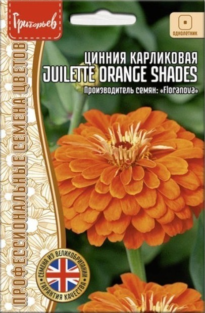 Цинния Juilette Orange Shades карликовая однолетник 5шт (Ред.сем)