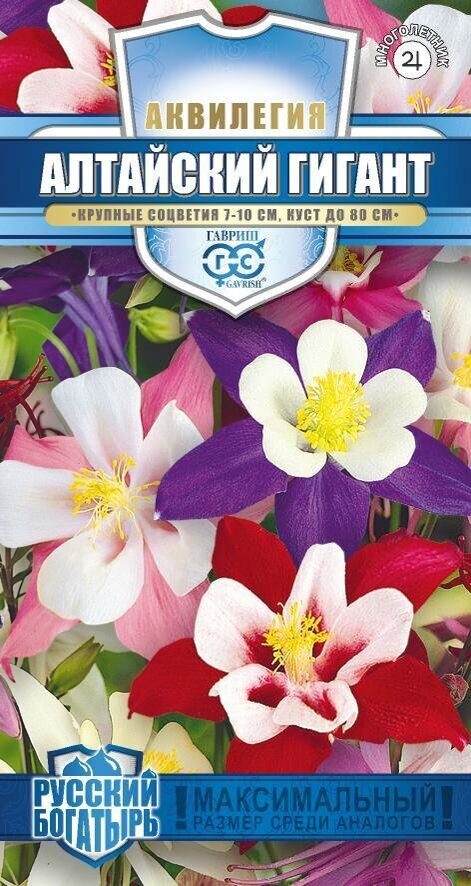 Аквилегия Алтайский гигант Русский богатырь многолетник смесь 0,05г (Гавриш)