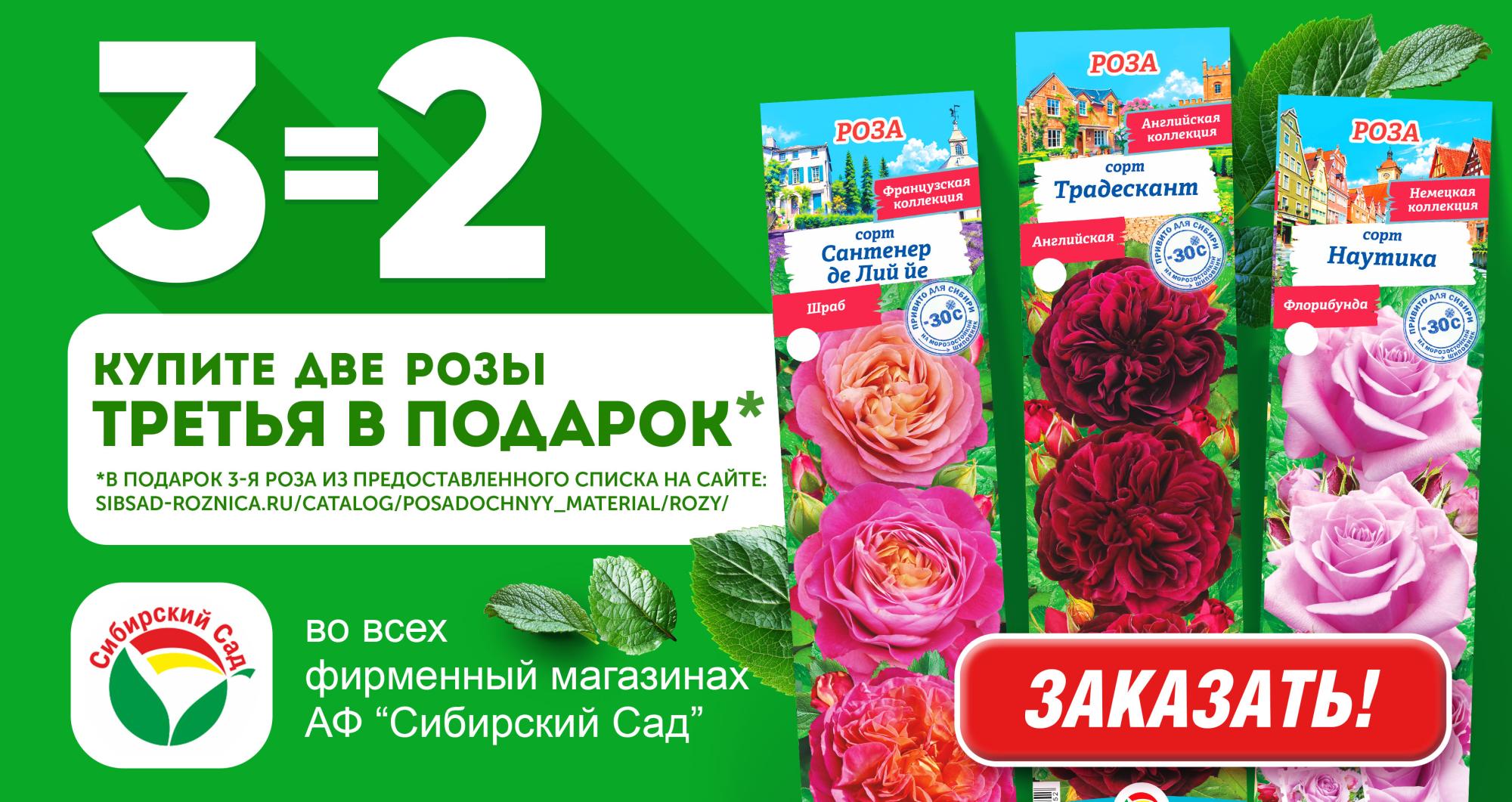 3 розы по цене 2 — выбирайте больше, платите меньше 3 розы по цене 2 — выбирайте больше, платите меньше