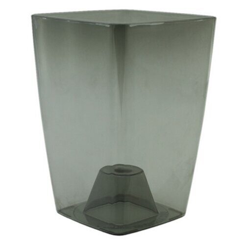 Орхидея Сильвия 1,9л дымчатый в18 д12 (Ливингрин)(18шт)