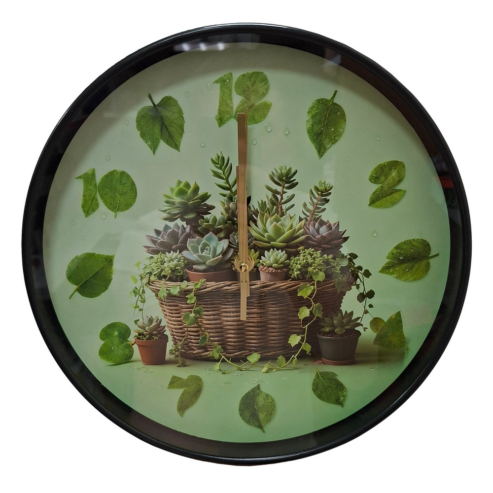Часы настенные Суккуленты SBCH05 круглые (Сиб Сад)