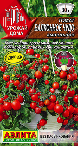 Томат Балконное чудо ампельный 10шт (Аэлита)