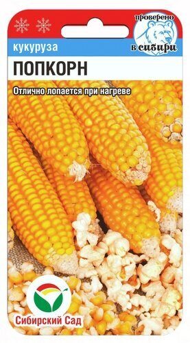 Кукуруза Попкорн 10шт (Сиб сад)