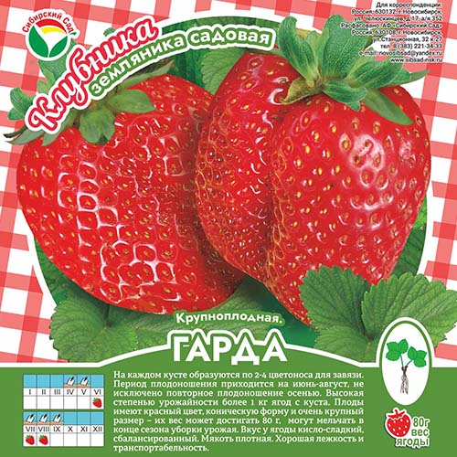 Клубника Гарда А 10шт/пучок (Сиб сад)