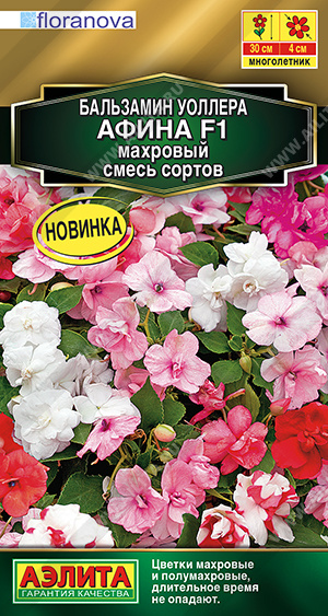 Бальзамин Афина F1 махровый смесь однолетник 5шт (Аэлита)