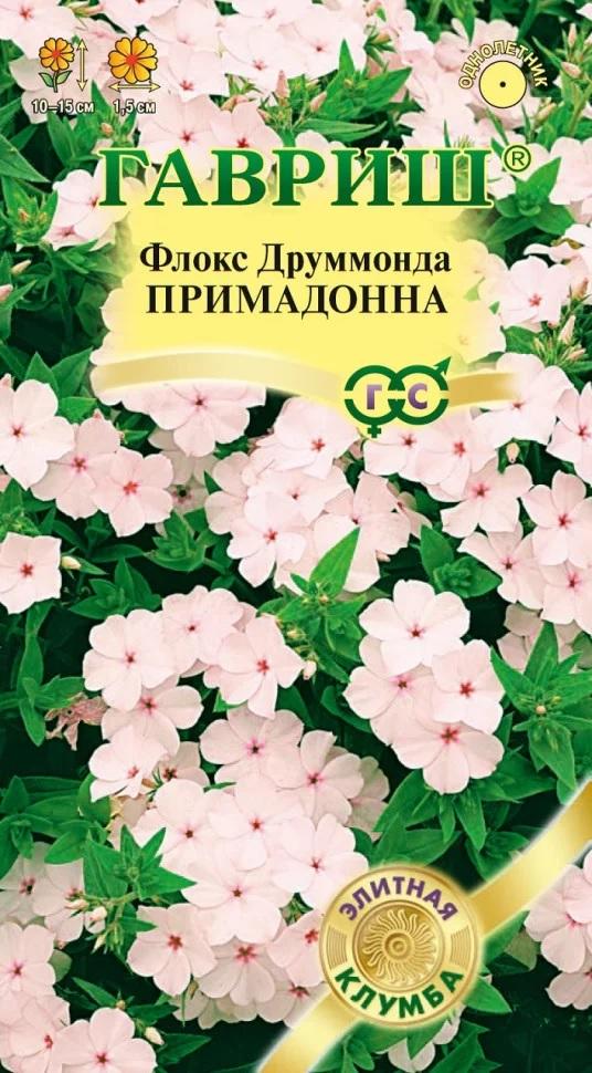 Флокс Друм Примадонна Элитная клумба 8шт (Гавриш)