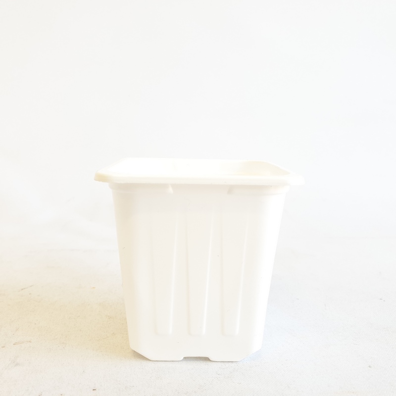 Горшок 0,2л 7*7*7 БЕЛЫЙ КВ (Амина)(3200шт)