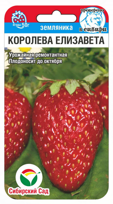 Земляника Королева Елизавета 10шт (Сиб Сад)