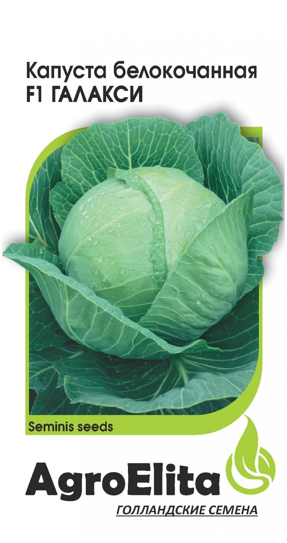 Капуста белокочанная Галакси F1 10шт (Агpоэлита)
