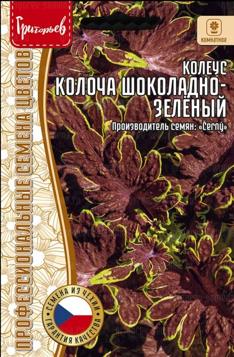 Колеус Колоча Шоколадно-Зелёный 4 шт (Ред.сем)
