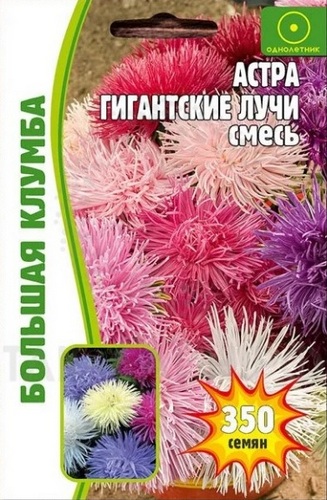 Астра Гигантские лучи смесь Большая клумба однолетник 200шт (Ред.Сем)