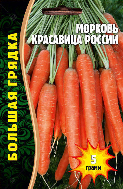Морковь Красавица России Большая грядка 3500шт (Ред.сем)