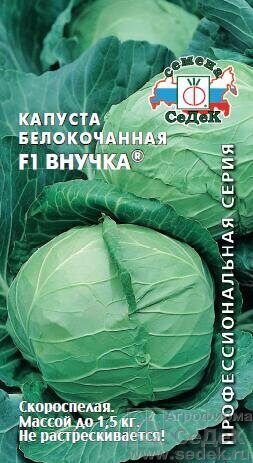 Капуста белокочанная Внучка скороспелая 0,3г (Седек)