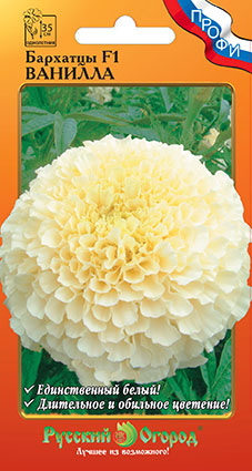 Бархатцы Ванилла F1 Профи однолетник 5шт (НК)