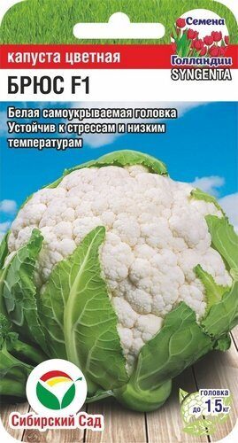 Капуста цветная Брюс F1 10шт (Сиб Сад)