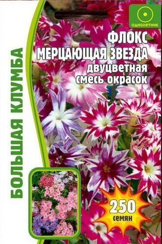 Флокс Мерцающая Звезда смесь Большая клумба однолетник 100шт (Ред.сем)