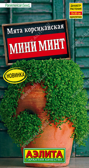 Мята Мини минт декоративная однолетник 3шт (Аэлита)