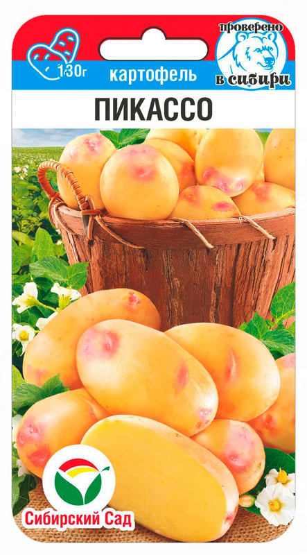 Картофель Пикассо 12шт (Сиб Сад)