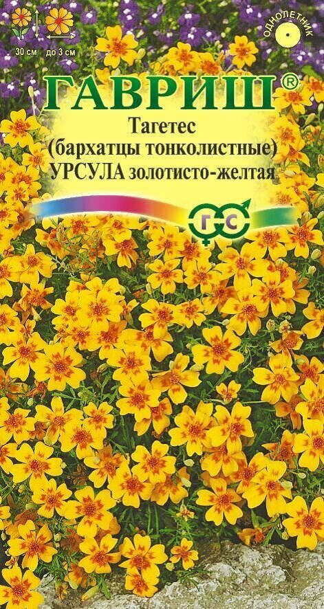 Бархатцы Урсула золотисто-желтая тонколистные однолетник 0,05г (Гавриш)