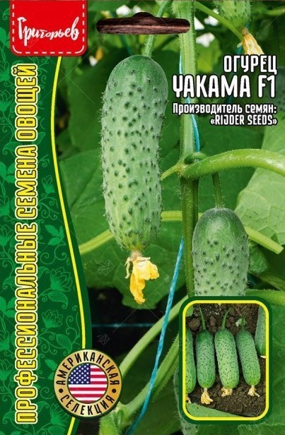 Огурец YAKAMA F1 10шт (Ред.сем)