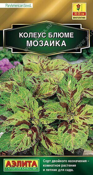 Колеус Блюме Мозаика 10шт (Аэлита)