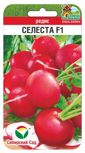 Редис Селеста F1 100шт (Сиб Сад)