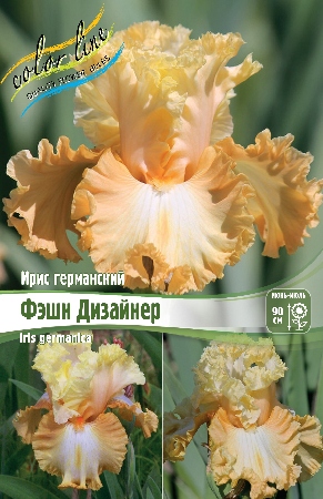 Ирис Фэшн Дизайнер (Германский) 1шт (Колорлайн)