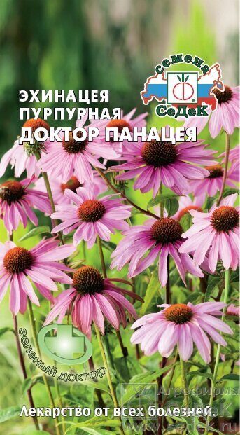 Эхинацея Доктор Панацея пурпурная 0,1г (Седек)