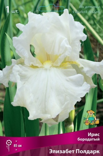Ирис Элизабет Полдарк (Германский) 1шт (Поиск)