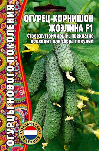 Огурец Жоэлина F1 корнишон 7шт (Ред.сем)