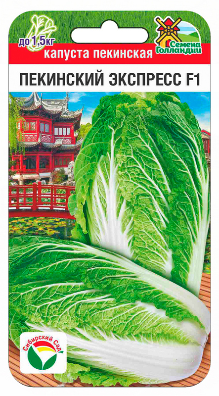 Капуста пекинская Пекинский экспресс F1 10шт (Сиб Сад)