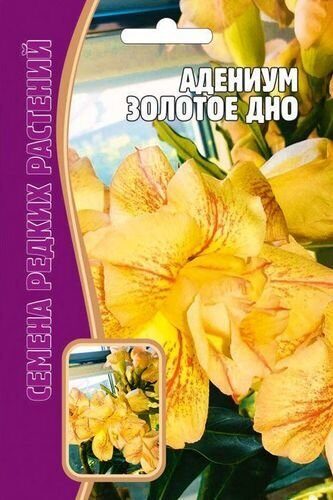 Адениум Золотое Дно 3шт (Ред.Сем)