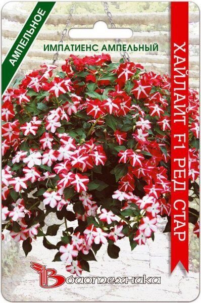 Импатиенс (бальзамин) Хайлайт F1 Ред Стар однолетник 10шт (Биотехника)