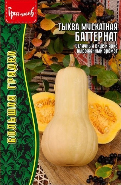 Тыква Баттернат мускатная Большая грядка 5шт (Ред.Сем)
