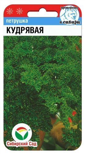Петрушка Кудрявая 1г (Сиб сад)