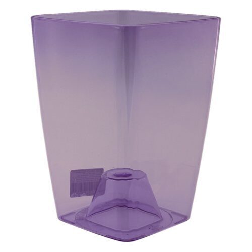 Орхидея Сильвия 1,9л фиолетовый в18 д12 (Ливингрин)(18шт)