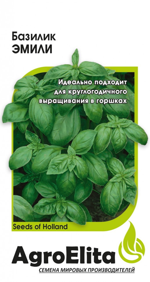 Базилик Эмили 0,1г (Агроэлита)
