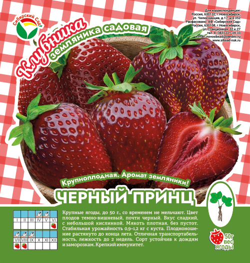 Клубника Черный Принц А 10шт/пучок (Сиб сад)