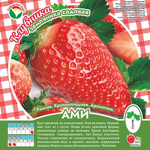 Клубника Ами А 10шт/пучок (Сиб сад)