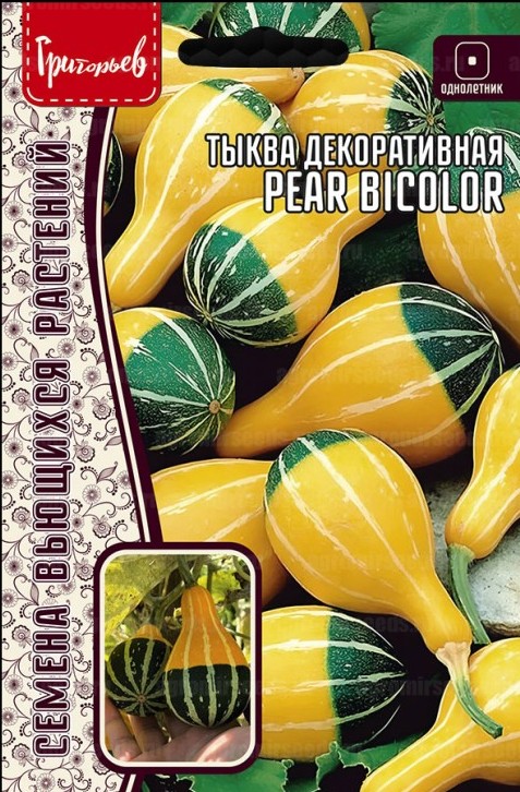 Тыква Декоративная Pear Bicolor 3шт (Ред.Сем)