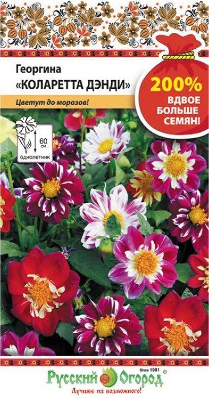Георгина Коларетта Дэнди смесь 200% однолетник 0,4г (НК)