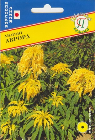 Амарант Аврора однолетник 25шт (Престиж)