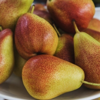 Груша Мраморная (саженец с этикеткой) 1шт (Сиб сад)