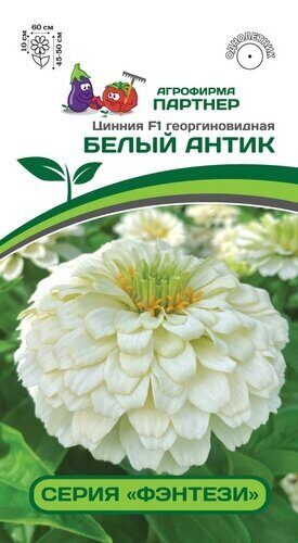 Цинния Белый антик F1 Фэнтези георгоновидная 4шт (Партнер)