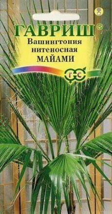 Вашингтония Майами 3шт (Гавриш)