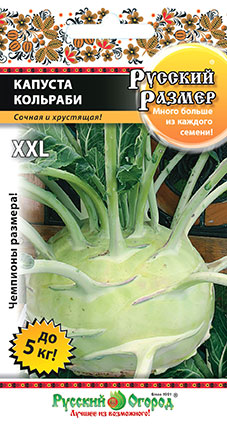 Капуста кольраби  XXL РУССКИЙ РАЗМЕР 30шт (НК)