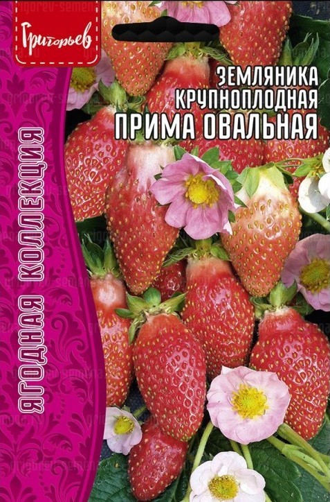 Земляника Прима овальная крупноплодная 20шт (Ред.Сем)