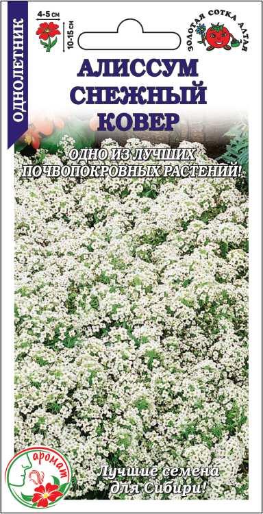 Алиссум Снежный ковер однолетник 0,1г (Золотая Сотка)
