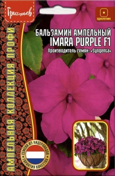 Бальзамин Imara Purple F1 ампельный однолетник 5шт (Ред.Сем)